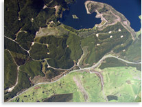 Arial Photo of Kaingaroa Forest